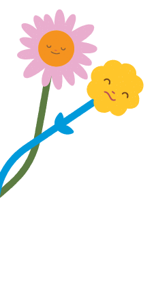 Decoration